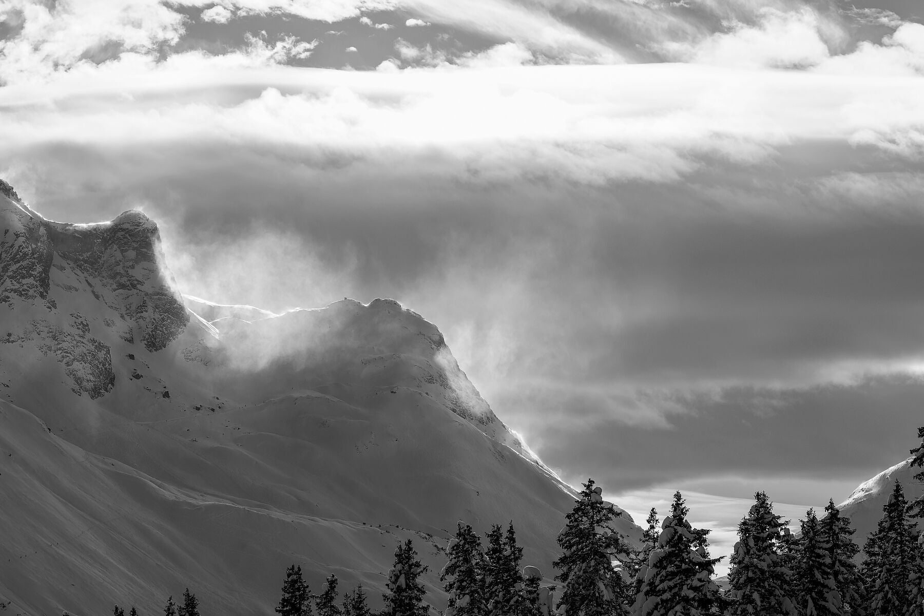 Windswept~Original Fine Art Photograph~Limited offers Edition Print